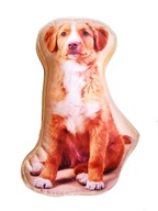 Duża PODUSZKA Kształtka Dwustronna PIES PIESEK GOLDEN RETRIEVER