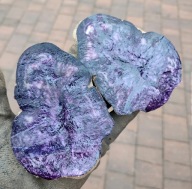 SZWARZER PETER - ZIEMNIAKI FIOLETOWE TRUFLOWE ZDROWE -2 KG