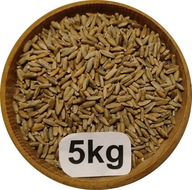 Żyto Ozime Konsumpcyjne/Paszowe 5kg, 2025r
