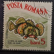 Ryby (kas) - luzak - do uzupełnień 13/6