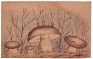 Grzyb grzyby kartka na drewnie sklejce ok.1910r. ręcznie malowana handmade