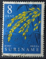 Holandia kolonie - Surinam kas 22/2