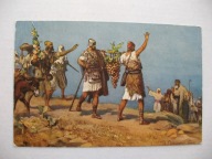 OPOWIEŚCI BIBLIJNE PRZYBYSZE Z KANAANU przedwojenna POCZTÓWKA JUDAIKA ŻYDZI