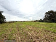 Działka, Rzeplin, Skała, Krakowski, 1728 m²