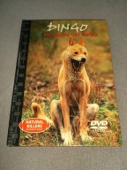 NATURAL KILLERS 16 DINGO Przyjaciel czy wróg - DVD bez rys