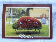 GLIWICE BIEDRONKA UL. HUTNICZA