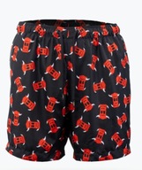 spodenki kąpielowe treningowe egzorcysta domino diabeł kapitan bomba 2xl