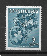 Seszele x Q777 flora palma MH VF 38funtówx80%