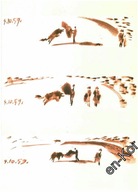 PABLO PICASSO -Toros y Toreros- #25 - 1961 r. (PIERWSZA EDYCJA)