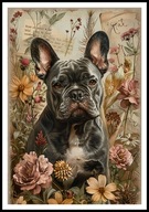 A2 OBRAZ PLAKAT PIES PUPIL PLAKAT BULDOG FRANCUSKI