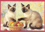 Kot kotek koty rasa harce kot w życiu człowieka pocztówka