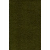 Gawędy o dawnym obyczaju Szlachta-bracia Morawski