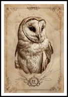 A2 PLAKAT RYSUNEK SZKIC VINTAGE RETRO PTAK SOWA PŁOMYKÓWKA PLAKAT Z SOWĄ