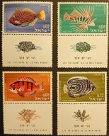 RYBY ŚWIATA - IZRAEL + TABSY ** - czysty