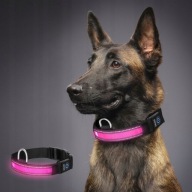Podświetlana obroża LED dla psa, regulowana, USB, tryby świecenia L