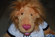 Pluszak maskotka World Cup Niemcy 06 lew GOLEO 60