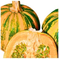 DYNIA BEZŁUPINOWA JUNONA - soczysty miąższ - na nasiona ***