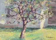 pejzaż wiosna Obraz Olejny Sabina Salamon35x25cm