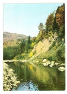 ŁOSIE BESKID NISKI PRZEŁOM ROPY 1969 /AT139