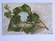 Elbląg Elbing liść klonu wytłaczana 1902