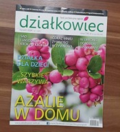 Działkowiec nr 01/2024 Azalie w domu