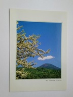 JAPONIA - Tateshina wiosną, kwitnąca wiśnia - pocztówka