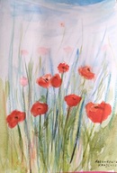 Akwarela, obraz, obrazek, maki pejzaż