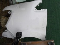 BŁOTNIK LEWY PRZÓD PRZEDNI MASTER IV V INTERSTAR III 631131525R