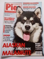 Przyjaciel Pies nr 2 2014 Alaskan Malamute czasopismo
