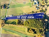 Działka, Stoki, Skała, Krakowski, 10202 m²