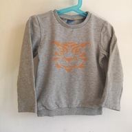 Bluza chłopięca DREAMSKI 104 cienka dresowa tygrys litewski producent (019)
