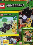 LEGO MINECRAFT 10 / 2024 + PAJĄK I MISTRZ BUDOWANIA