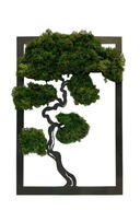 PREZENT OBRAZ MECH CHROBOTEK DRZEWKO ŻYCIA ŻYWY OBRAZ DRZEWO BONSAI