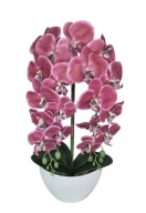 Sztuczny Storczyk gumowy w Doniczce Dwa Pędy Orchidea Dwa kolory Bordowy