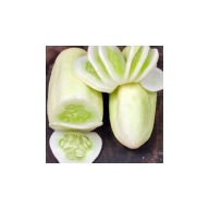 Ogórek Biały delikatny chrupiący na surowo i na przetwory nasiona