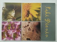 PIENINY PARK NARODOWY - MAP/INFO - TEN PRZEDMIOT - LASY