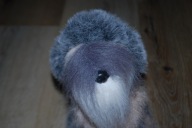 pluszak maskotka pies piesek fajny Sznaucer? 28 cm