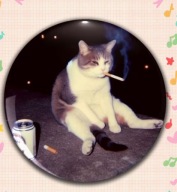 PRZYPINKI BADZIKI BUTTONY ZNACZKI 58 mm – na każdy gust! CAT KOTEK