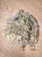 Mech 2×250 ml dla isopodów, wijów, chrząszczy, ślimaków– naturalny