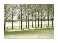 Pocztówka - Aleja drzew i zimowy spacer ...