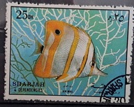 Ryby (kas) - luzak - do uzupełnień 13/3