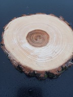 Plaster drewna Wierzba krążek 1szt. Średnica 10-15cm Grubość 2 cm Naturalny