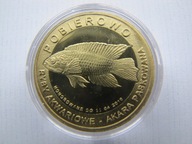 10 złotych rybek akwariowych akara paskowana Pobierowo