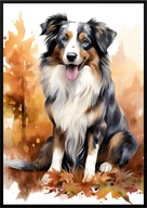 A2 59,4x42 PLAKAT OBRAZ PIES OWCZAREK AUSTRALIJSKI, JESIEŃ AKWARELA