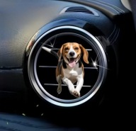 Zapach 2D PIESEK do samochodu na kratkę nawiewu DZIEŃ KOBIET