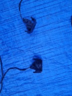 WIĄZKA CZUJNIKÓW PDC PRZÓD AUDI A5 8T 8K0971095