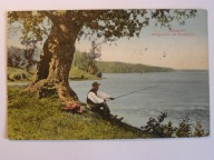 Jezioro Bełdany Mazury Ruciane Dąb królewski 1911
