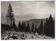 Skrzyczne k. Żywiec. Widok na Beskid Żywiecki Pilsko, Romanka. Lata 60-te.