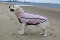 Kurtka przeciwdeszczowa dla psa, softshel dla golden retrivera