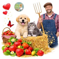 SŁOMA ŚCIÓŁKA DO OGRODU 3KG POD WARZYWA KOMPOST LEGOWISKO DLA PSA GRYZONI